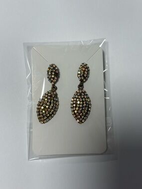 Crystal Pave Drop Earrings - iridescent